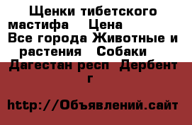 Щенки тибетского мастифа. › Цена ­ 30 000 - Все города Животные и растения » Собаки   . Дагестан респ.,Дербент г.